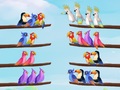 खेल Bird Sort Puzzle