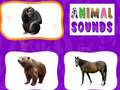 ગેમ Animal Sounds