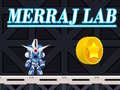 खेल Merraj Lab