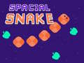 खेल Spacial Snake