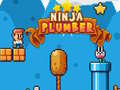 ಗೇಮ್ Ninja Plumber