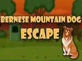 விளையாட்டு Bernese Mountain Dog Escape