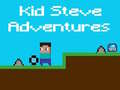 ಗೇಮ್ Kid Steve Adventures