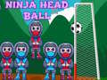 ગેમ Ninja Head Ball
