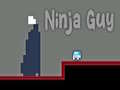 खेल Ninja Guy
