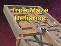 ગેમ True Maze Defiance