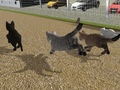 खेल Run Cat Cat Race