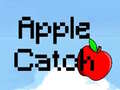 ಗೇಮ್ Apple Catch