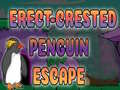 விளையாட்டு Erect Crested Penguin Escape