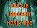 खेल Rescue Innocent Honey Bee 