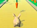 खेल Rabbit Runner