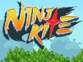 ગેમ Ninja Kite