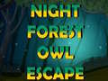 खेल Night Forest Owl Escape