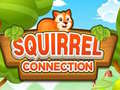 खेल Squirrel Connection