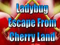 खेल Ladybug Escape From Cherry Land