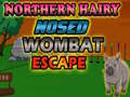 खेल Northern hairy nosed wombat Escape