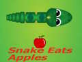 खेल Snake Eats Apple