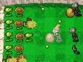 खेल Plants Vs Zombies DS
