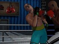 खेल Ultimate Boxing Showdown
