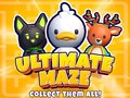 खेल Ultimate Maze! Collect Them All!