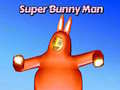 खेल Super Bunny Man