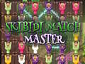 ગેમ Skibidi Match Master