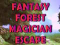 खेल Fantasy Forest Magician Escape