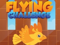 ગેમ Flying Challenge