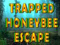 खेल Trapped Honeybee Escape