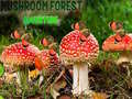 खेल Mushroom Forest Adventure