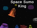 खेल Space Sumo King
