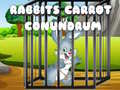 खेल Rabbits Carrot Conundrum