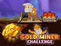 ગેમ Gold Miner Challenge