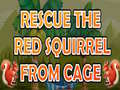 खेल Rescue The Red Squirrel From Cage