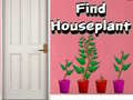 खेल Find Houseplant