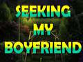 खेल Seeking My Boyfriend