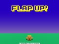 ಗೇಮ್ Flap Up