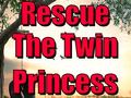 ગેમ Rescue The Twin Princess