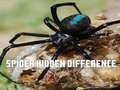 खेल Spider Hidden Difference