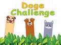 खेल Doge Challenge
