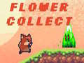 ગેમ Flower Collect