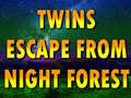 खेल Twins Escape From Night Forest