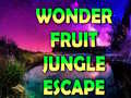 விளையாட்டு Wonder Fruit Jungle Escape