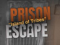 ગેમ Prison Escape: Island of Tribes