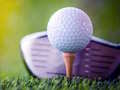 ಗೇಮ್ Unblocked Golf Challenge