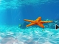 खेल Escape From Underwater Starfish