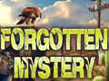 ಗೇಮ್ Forgotten Mystery