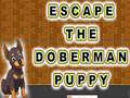 खेल Escape The Doberman Puppy