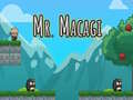 खेल Mr Macagi