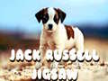 ಗೇಮ್ Jack Russell Jigsaw